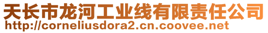 天長市龍河工業(yè)線有限責任公司