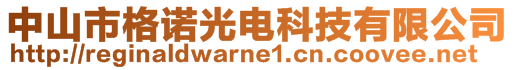 中山市格诺光电科技有限公司