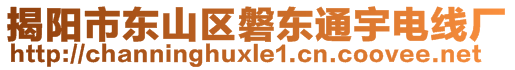 揭陽市東山區(qū)磐東通宇電線廠