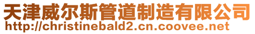 天津威爾斯管道制造有限公司