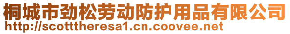 桐城市勁松勞動防護用品有限公司