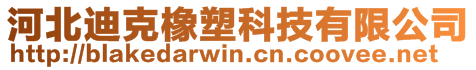河北迪克橡塑科技有限公司