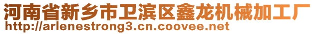 河南省新鄉(xiāng)市衛(wèi)濱區(qū)鑫龍機(jī)械加工廠