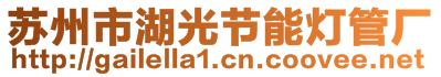 蘇州市湖光節(jié)能燈管廠