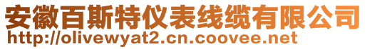 安徽百斯特仪表线缆有限公司