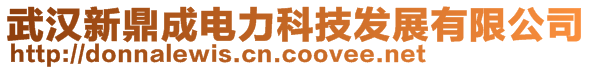 武漢新鼎成電力科技發(fā)展有限公司