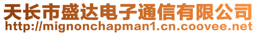 天長市盛達電子通信有限公司