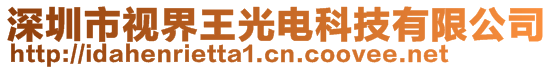 深圳市視界王光電科技有限公司