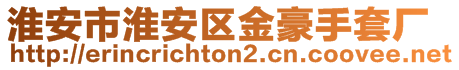 淮安市淮安區金豪手套廠