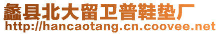 蠡縣北大留衛(wèi)普鞋墊廠