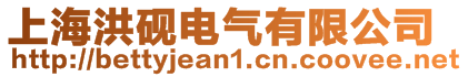上海洪硯電氣有限公司