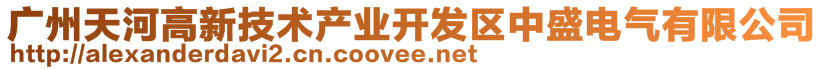 廣州天河高新技術(shù)產(chǎn)業(yè)開(kāi)發(fā)區(qū)中盛電氣有限公司