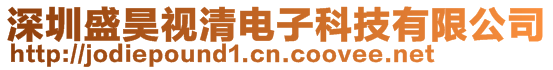 深圳盛昊視清電子科技有限公司