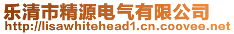 樂清市精源電氣有限公司