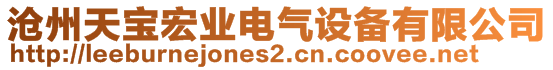 滄州天寶宏業電氣設備有限公司