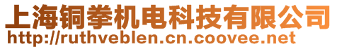 上海銅拳機電科技有限公司