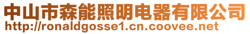 中山市森能照明电器有限公司