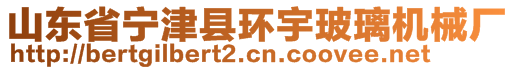 山東省寧津縣環(huán)宇玻璃機(jī)械廠