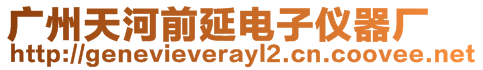 廣州天河前延電子儀器廠
