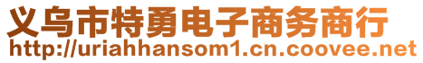 義烏市特勇電子商務(wù)商行