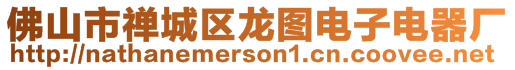 佛山市禪城區龍圖電子電器廠