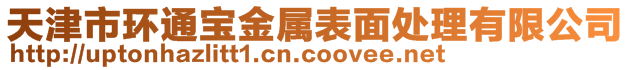 天津市环通宝金属表面处理有限公司