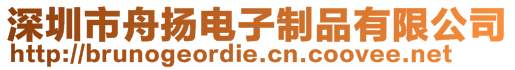深圳市舟揚電子制品有限公司