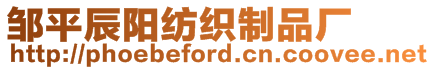 鄒平辰陽紡織制品廠