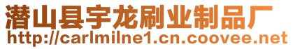 潛山縣宇龍刷業(yè)制品廠