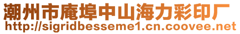 潮州市庵埠中山海力彩印廠