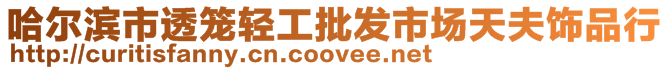 哈尔滨市透笼轻工批发市场天夫饰品行