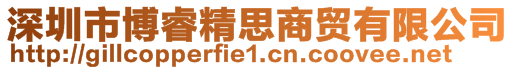 深圳市博睿精思商貿(mào)有限公司