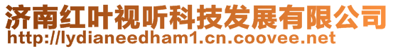 濟南紅葉視聽科技發展有限公司