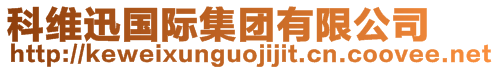 科维迅国际集团有限公司