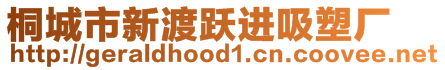 桐城市新渡躍進(jìn)吸塑廠