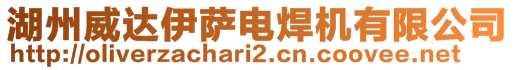 湖州威達(dá)伊薩電焊機(jī)有限公司