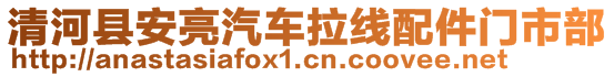 清河縣安亮汽車?yán)€配件門市部