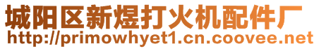 城陽(yáng)區(qū)新煜打火機(jī)配件廠(chǎng)