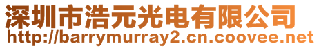 深圳市浩元光電有限公司