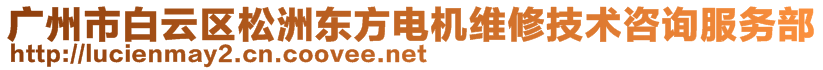 廣州市白云區(qū)松洲東方電機維修技術(shù)咨詢服務(wù)部