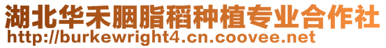 湖北華禾胭脂稻種植專業合作社