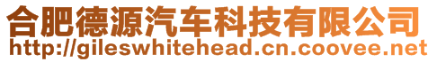 合肥德源汽車科技有限公司