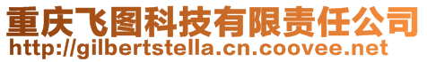 重慶飛圖科技有限責(zé)任公司