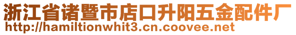 浙江省諸暨市店口升陽五金配件廠