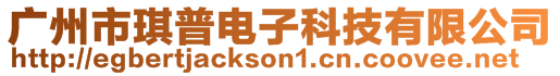 廣州市琪普電子科技有限公司