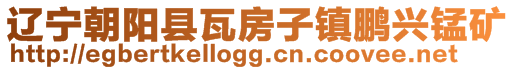 辽宁朝阳县瓦房子镇鹏兴锰矿