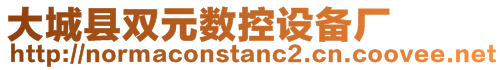 大城縣雙元數(shù)控設備廠