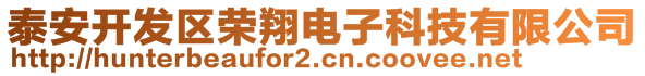 泰安開發(fā)區(qū)榮翔電子科技有限公司