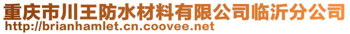 重慶市川王防水材料有限公司臨沂分公司