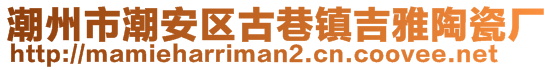 潮州市潮安區(qū)古巷鎮(zhèn)吉雅陶瓷廠